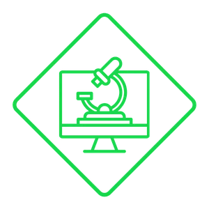 On-Site & Lab Services